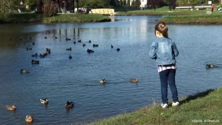 03022016_rodzina_500_2.mp4