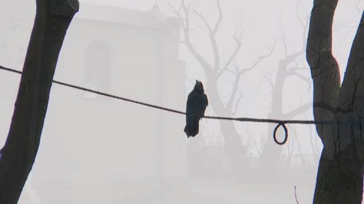 03092016_stara_lipa_grocholice_2.mp4