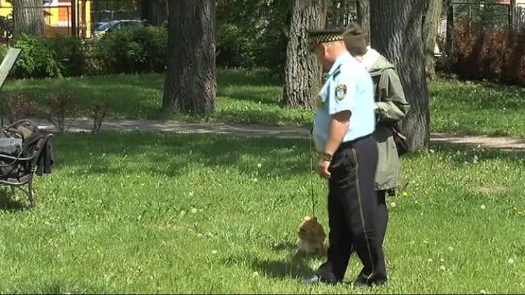 05112016_sprzatanie_kup_po_psie_2.mp4