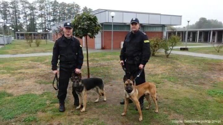 10282016_gmina_psy_policja2.mp4