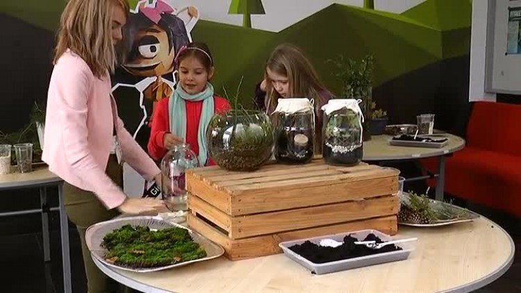 11112016_mck_spinday2.mp4