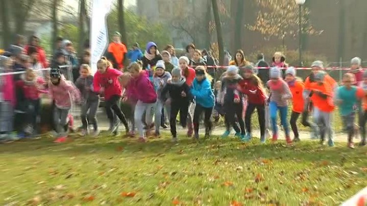 11112016_bieg_niepodleglosciowy2.mp4