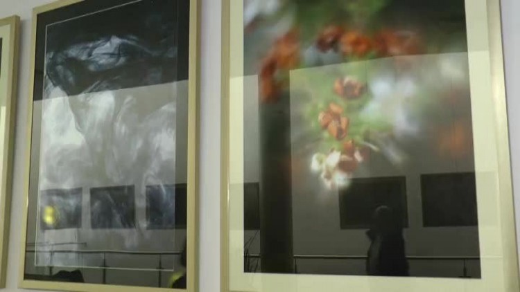 11232016_btf_wystawa_cichy_swiat2.mp4