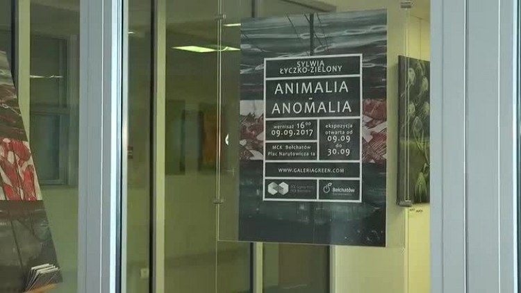 09222017_mck_wystawa_malarstwo_anomalia_animalia2.mp4