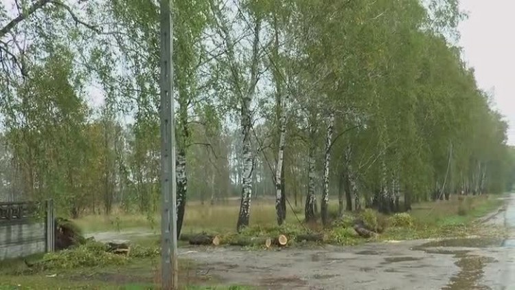 10062017_huragan_ksawery_usuwanie_szkod_straz_zaklad_energetyczny2.mp4