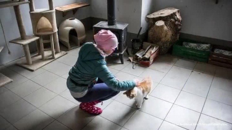 10112017_schronisko_dzien_otwarty_podsumowanie2.mp4