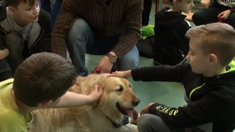 03192018_gmina_wystawa_zwierzat_spdomiechowice2.mp4