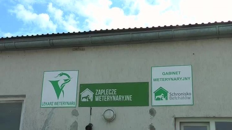 04042018_schronisko_nowy_gabinet_weterynaryjny_adopcje2.mp4