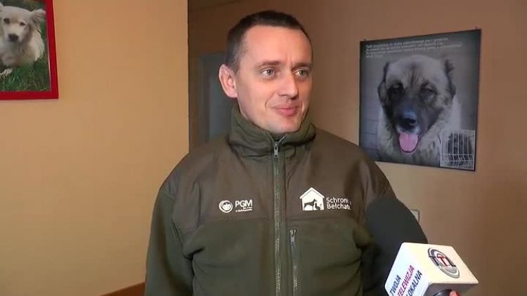 12102018_miasto_schronisko_swieta_wstrzymane_adopcje2.mp4