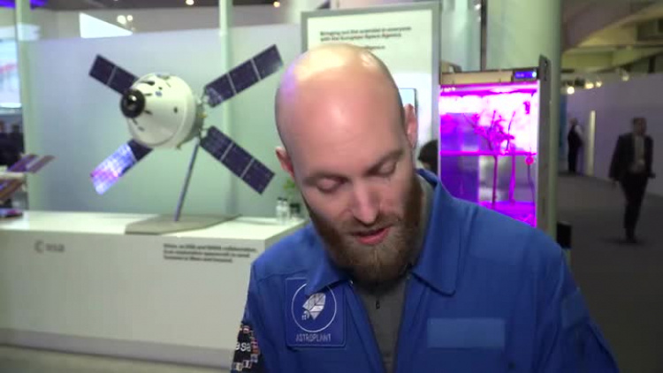 04152019_newseria_rosliny_kosmos.mp4