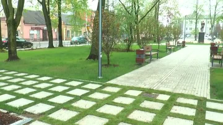 04292019_miasto_plac_wolnosci_trawa.mp4