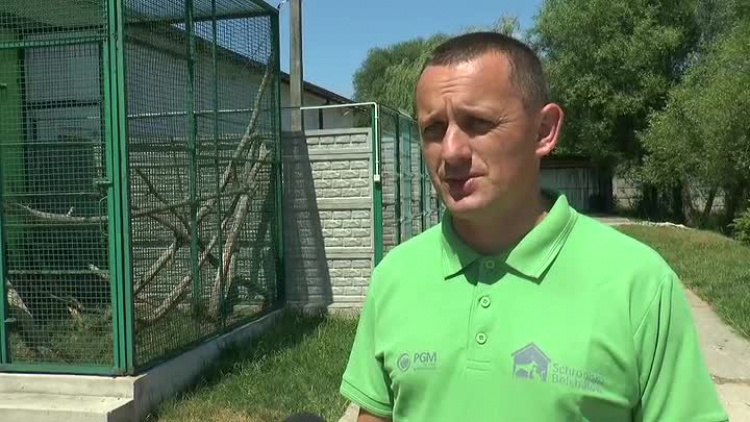 06242019_miasto_schronisko_dzien_adopcji.mp4