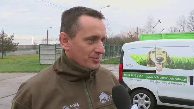 12172019_schronisko_swieta_wstrzymane_adopcje.mp4