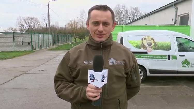 12202019_zyczenia_schronisko.mp4