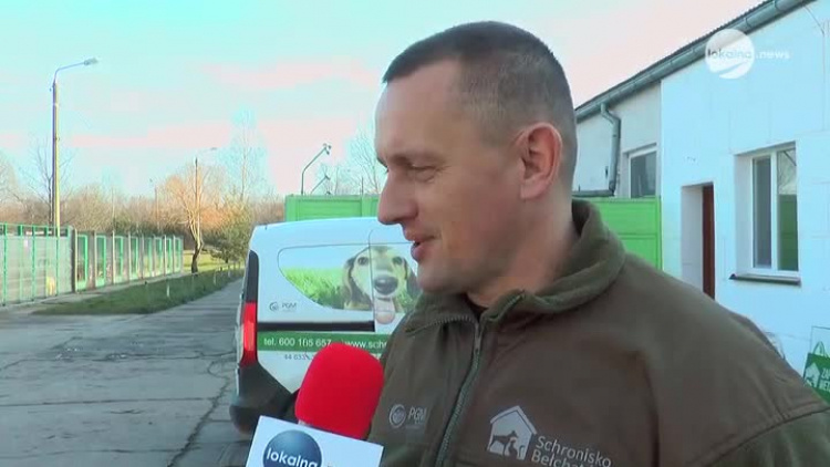 01172020_schronisko_psygarniemy_choinki.mp4