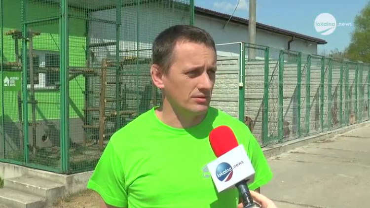 04282020_schronisko_wznowienie_adopcji_koronawirus.mp4