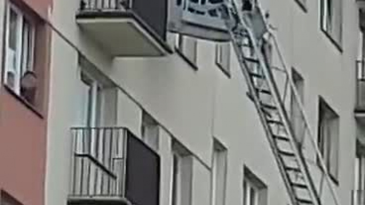 video-1591712164.mp4