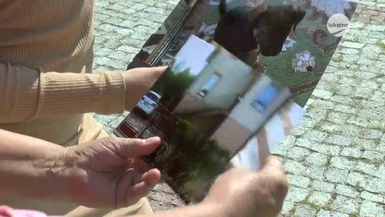 08182020_zaginiony_pies_ekoregion.mp4