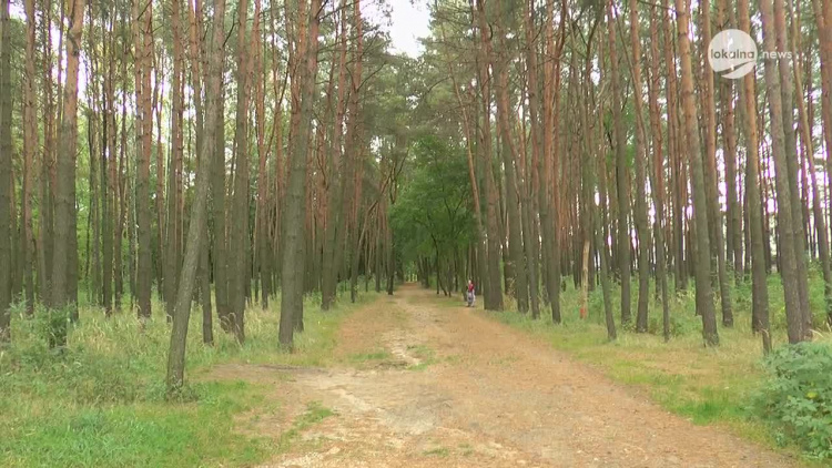 10092020_miasto_park_1000lecia_renowacja.mp4