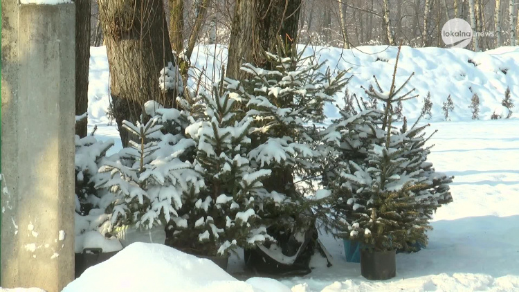 210118-schronisko-leszy-choinki.mp4