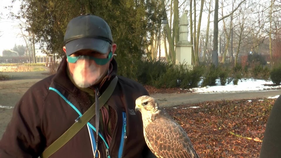 23022021-sokolnik-domanski-turowska.mp4