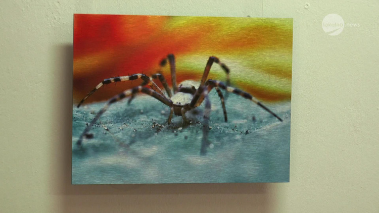 19042021-wystawa-kwarta.mp4