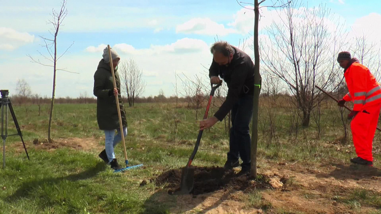 22042021-sadzenie-drzew-ferenc.mp4