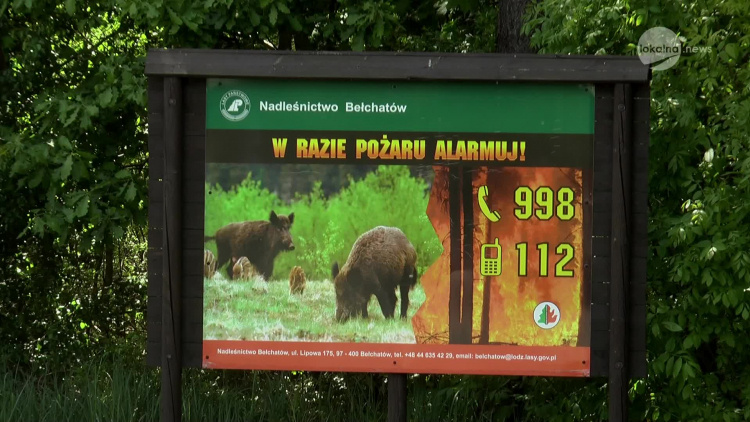 31052021-lasy-szczepaniak.mp4