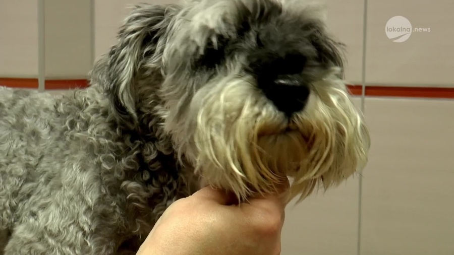 24062021-siersc-broszkiewicz.mp4