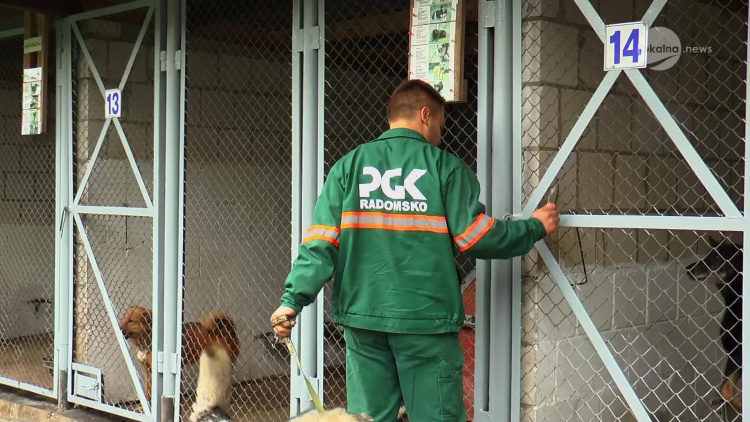 31082021-pgk-schronisko-wieczorek.mp4