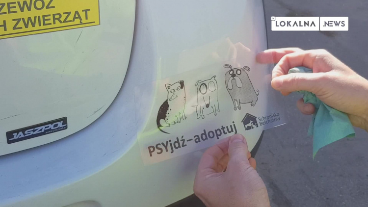 211006-schronisko-psylepki.mp4