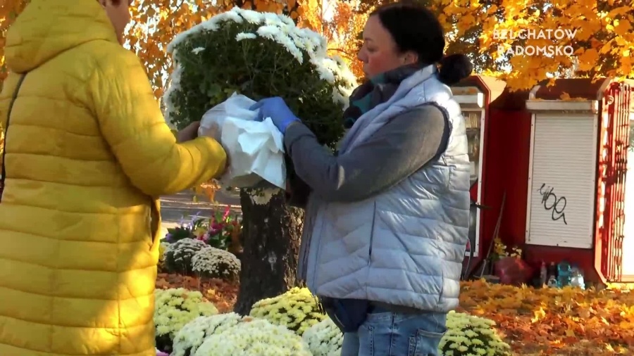 29102021-sprzedaz-kwiatow-kocwin-mniejszy-test.mp4