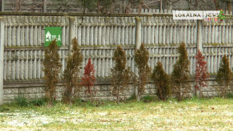 20122021-akcja-choinki-polbrat-www.mp4