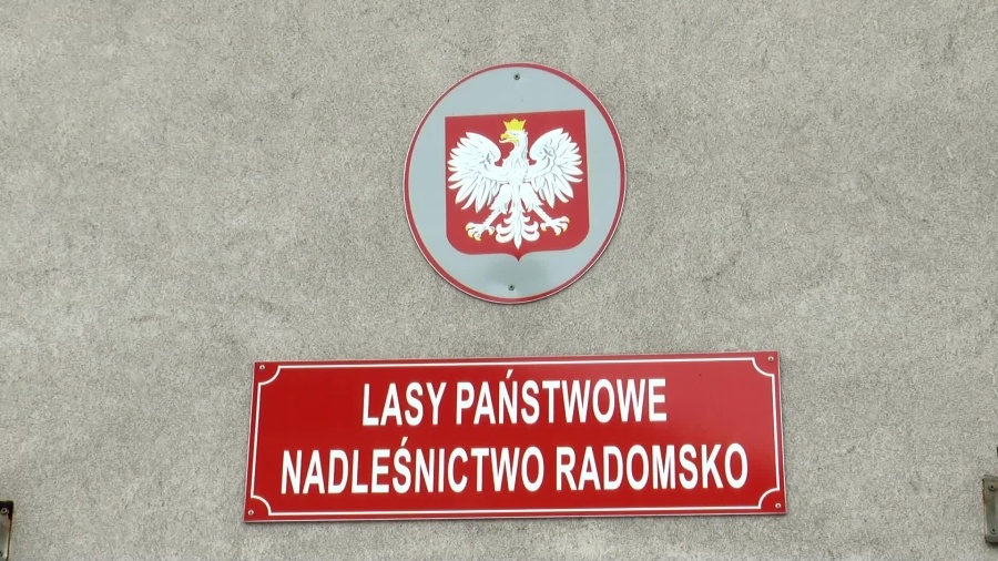 21122021-choinki-nadlesnictwo-szymocha-www.mp4