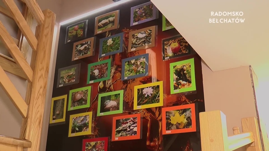 16022022-kamil-prace-podopiecznych-www.mp4