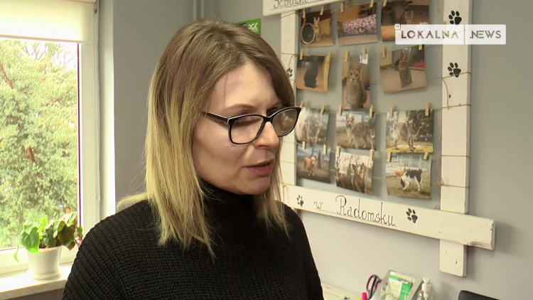 17022022-dzien-kota-schronisko-www.mp4