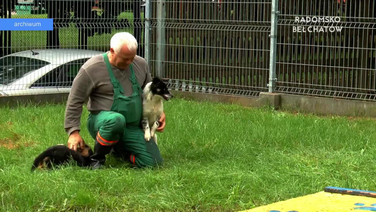 22022022-adopcja-schronisko-www.mp4