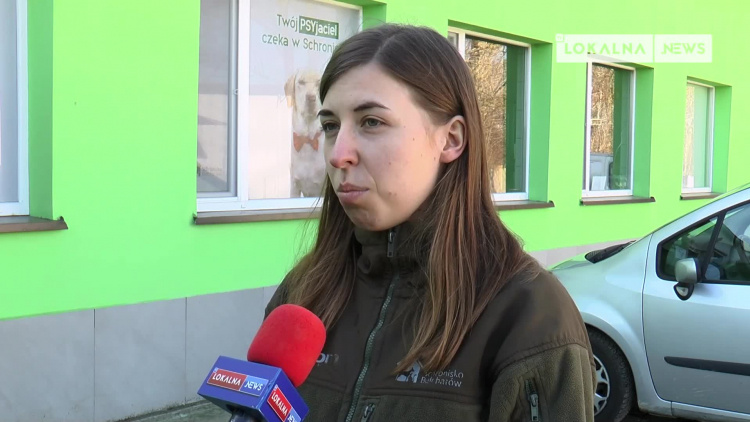 24022022-schronisko-behawiorysta-www.mp4