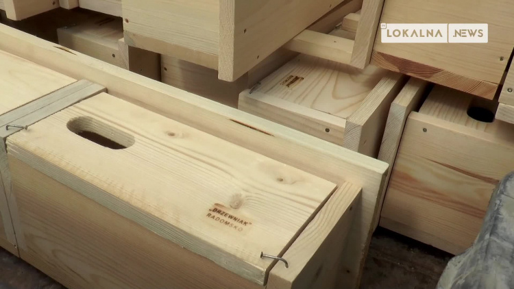 07042022-karmniki-dla-ptakow-www.mp4