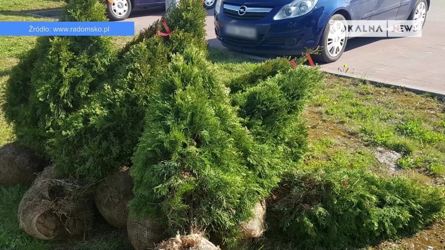 25042022-sadzenie-kwiatow-off.mp4