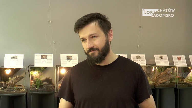 04052022-wystawa-pajakow-www.mp4