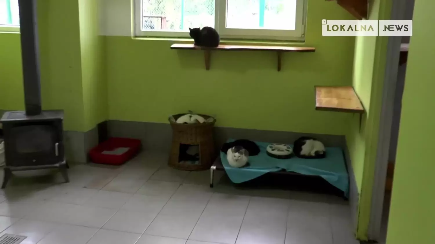 31102022-schronisko-www.mp4