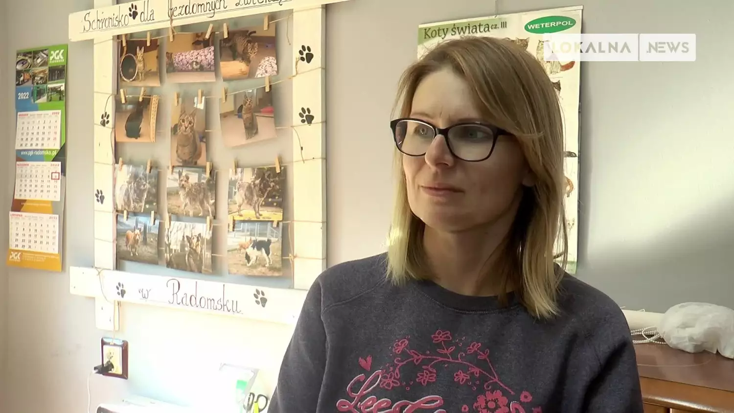 10102022-schronisko-chipowanie-www.mp4