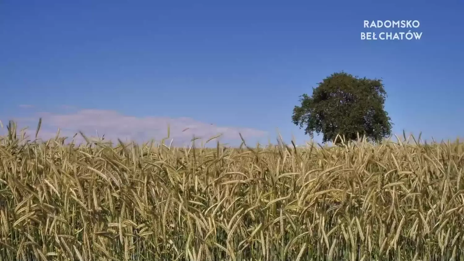 06042023-okragly-stol-rolnictwo-www.mp4