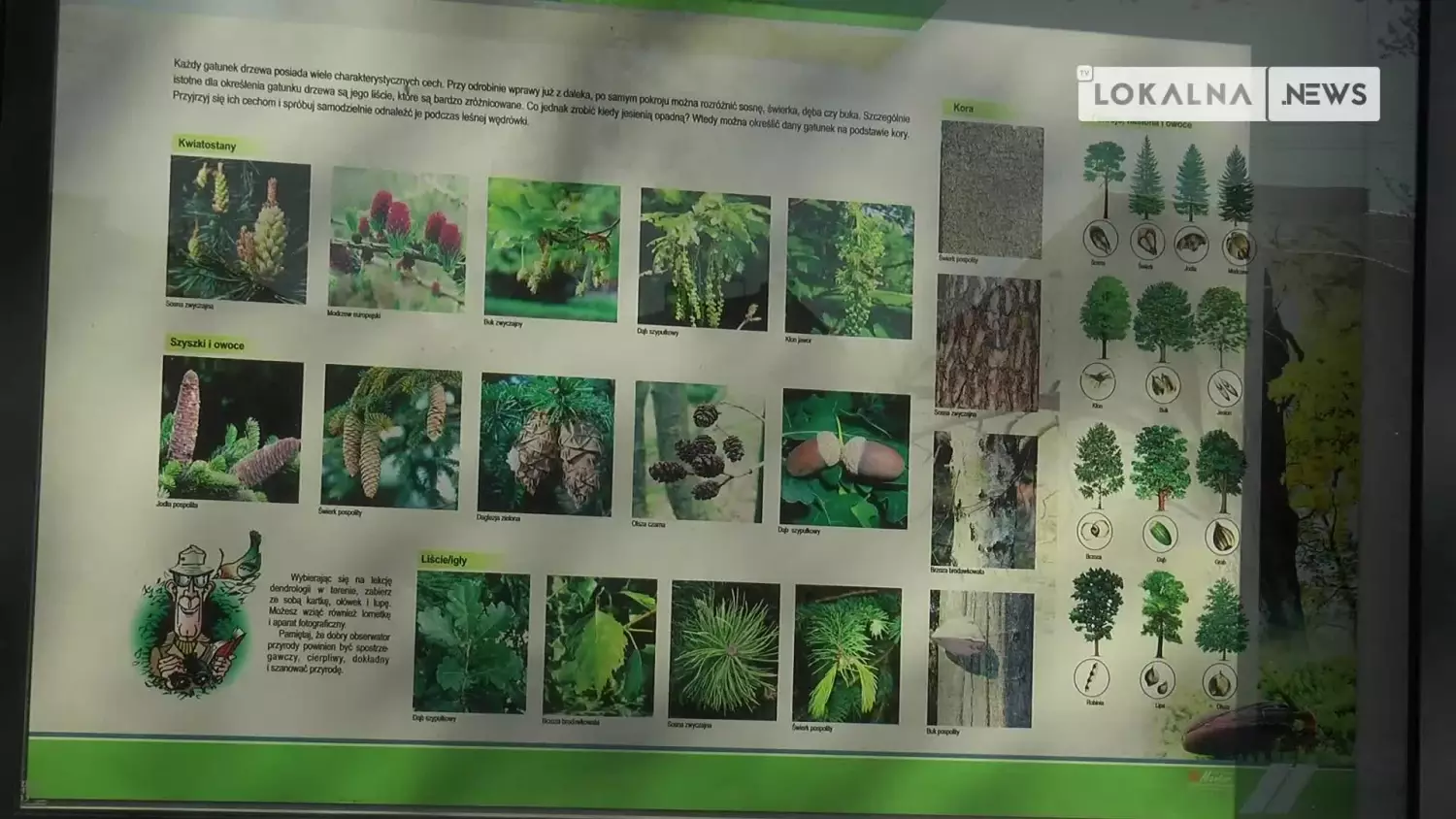 12052023-park-owocowa-www.mp4