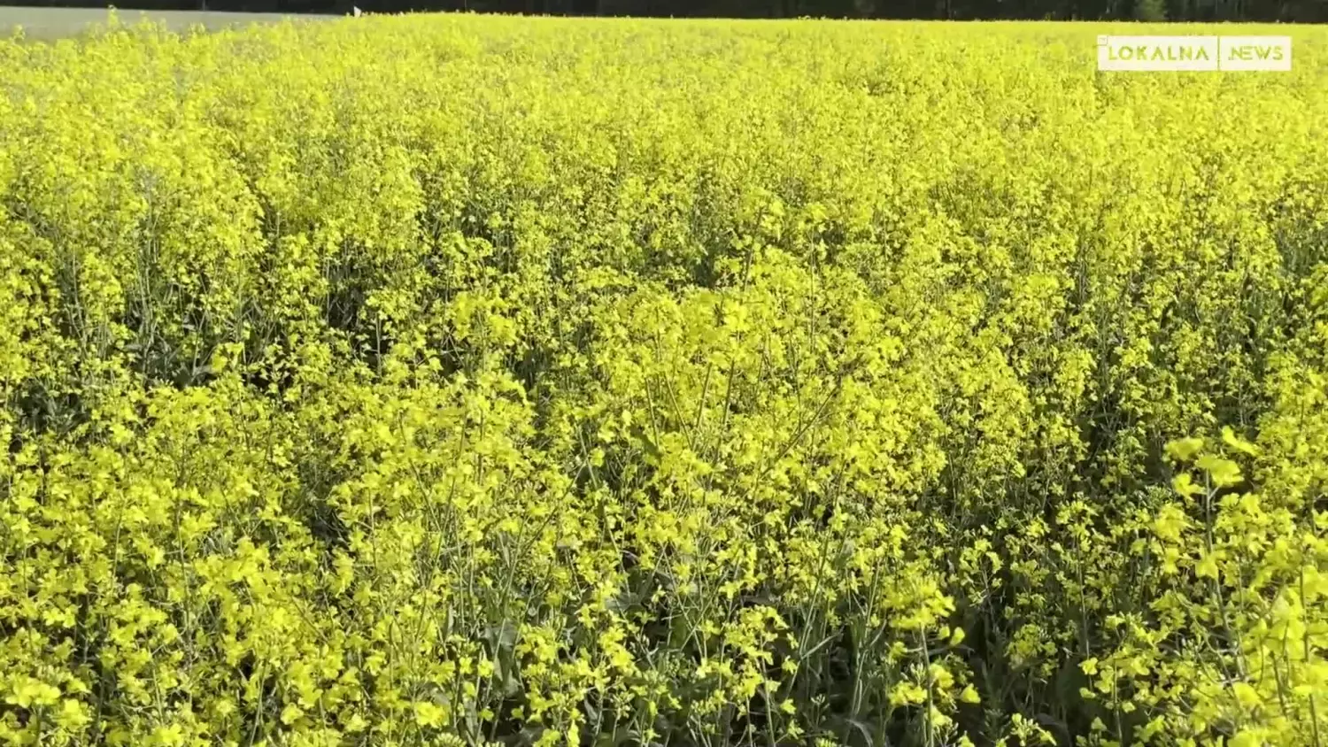 22052023-spotkanie-z-soltysami-www.mp4