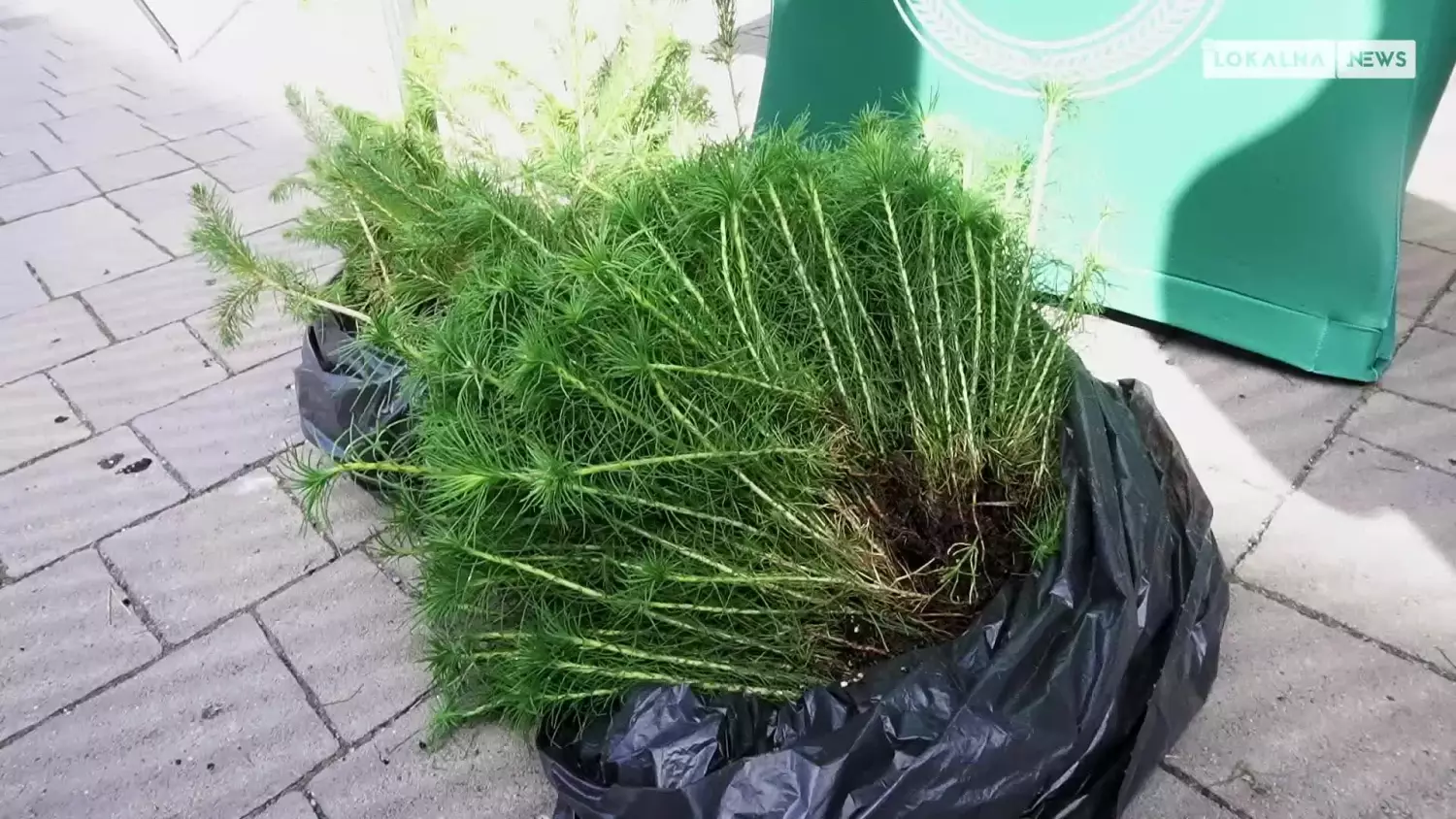 news-rad-020923-akcja-sadzimy-www.mp4