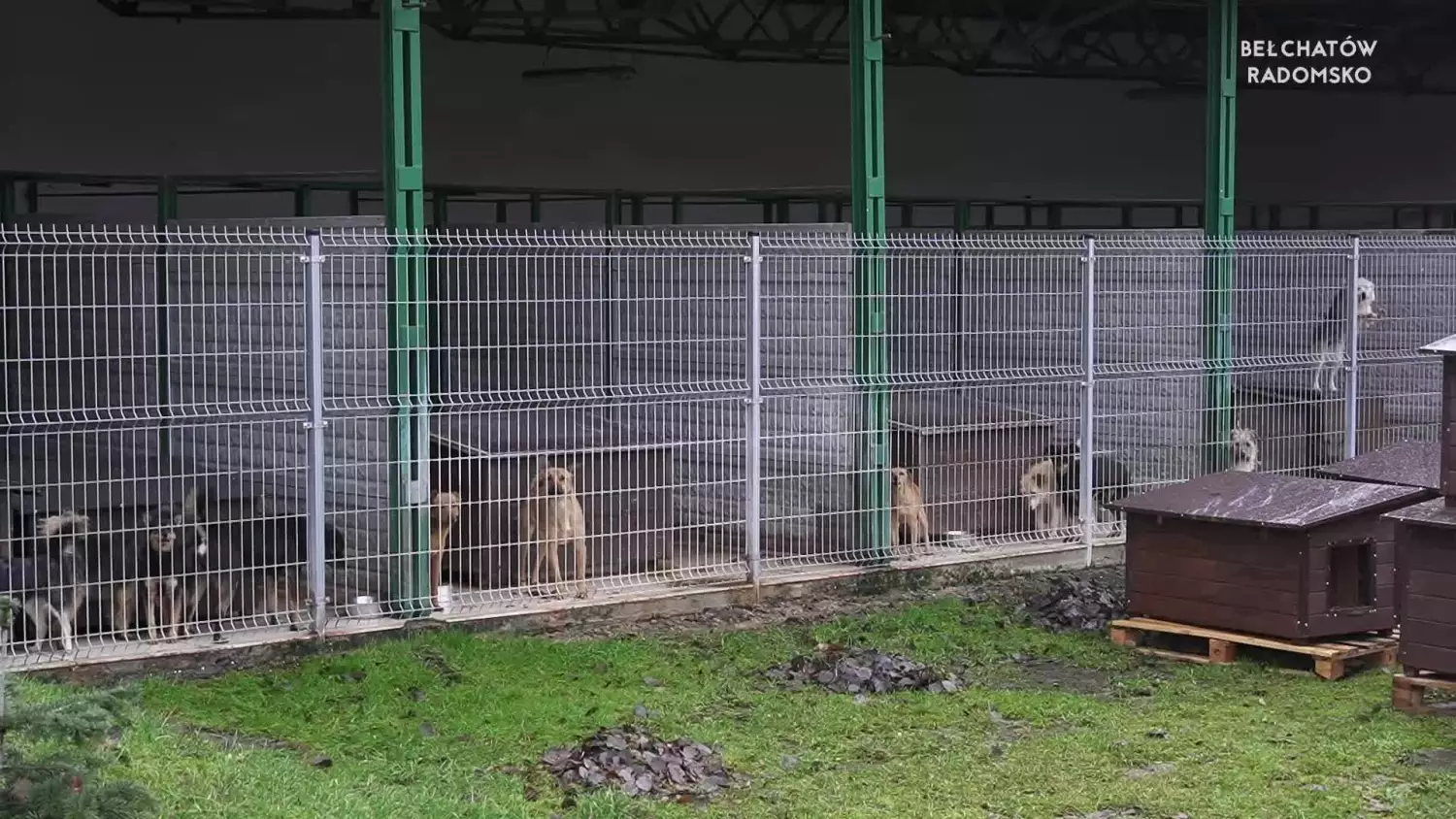 news-bel-030124-adopcje-schronisko-www.mp4