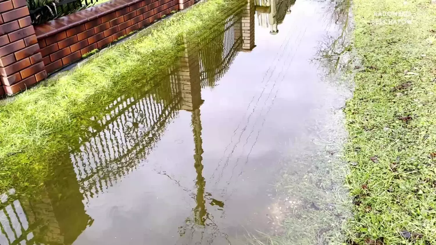 news-wlg-030124-material-interwencyjny-www.mp4