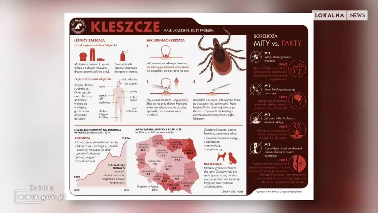 news-bel-150524-kleszcze-sanepid-www.mp4